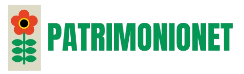 Logo patrimonionet.com