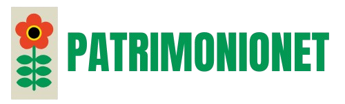 patrimonionet.com