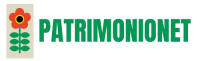 Logo patrimonionet.com